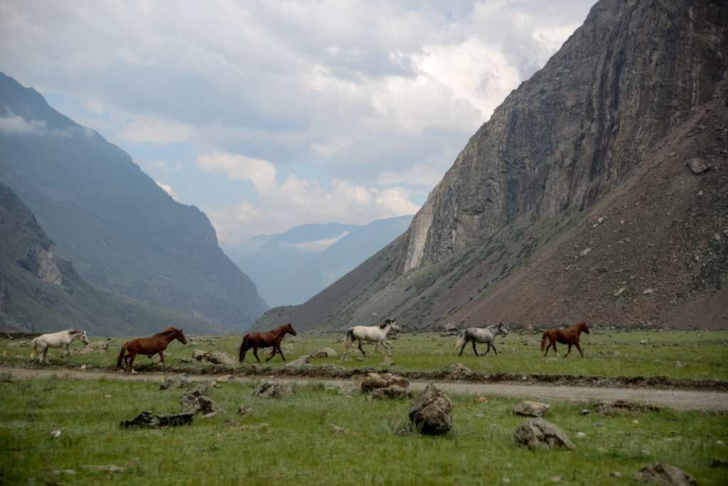 Алтай за 10 дней: обзорная экспедиция по топовым местам (29/68)