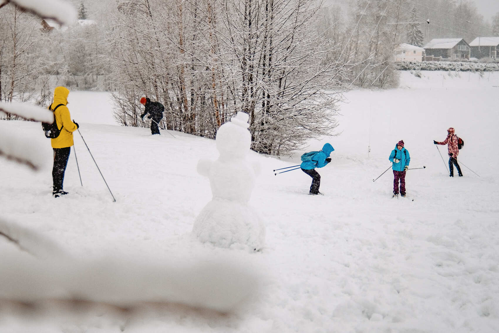 Лыжные тренировки в Санкт-Петербурге. Базовый уровень (12/28)