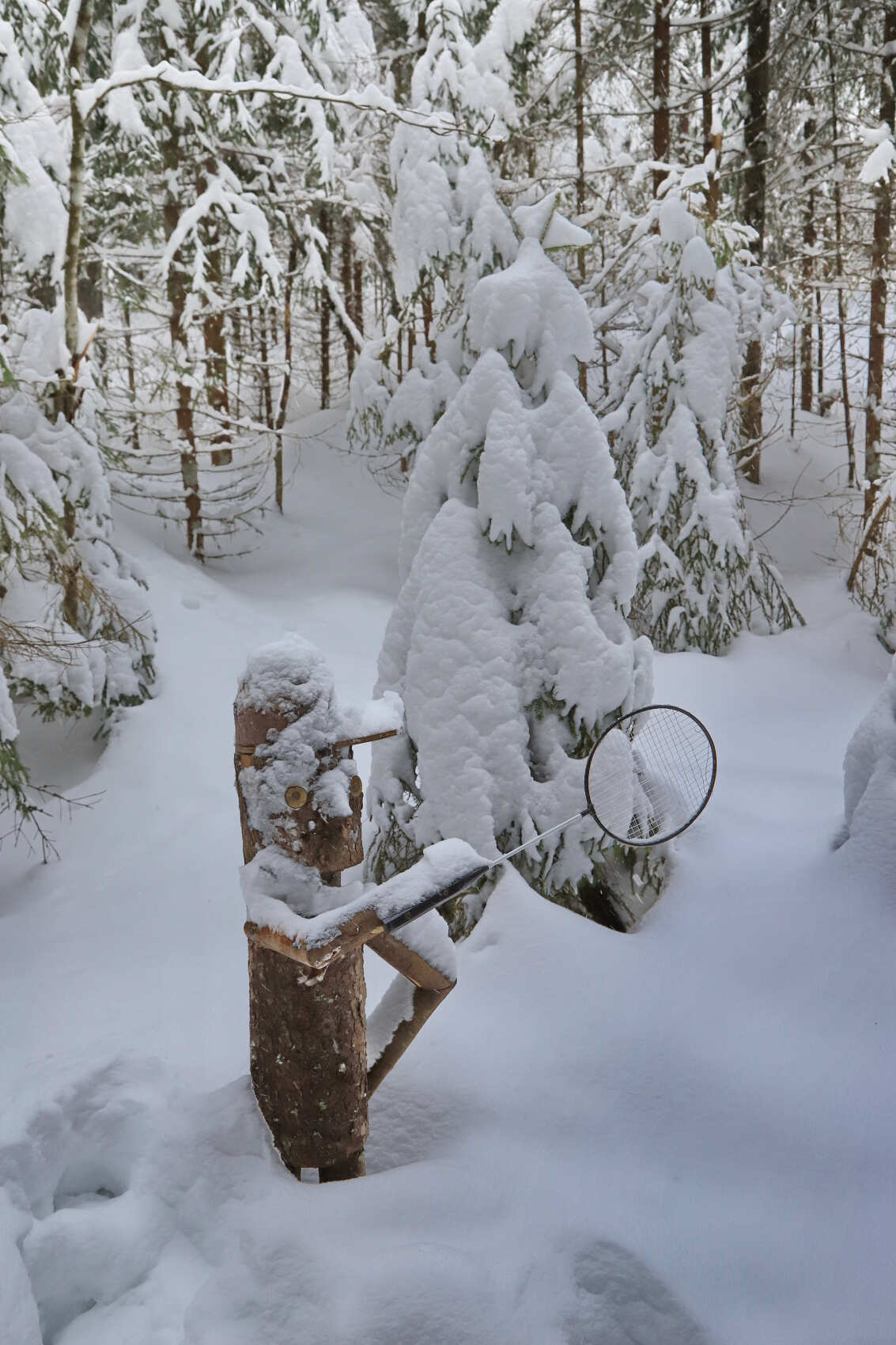 Лыжи и Спа. Однодневный выезд под Выборгом (14/16)