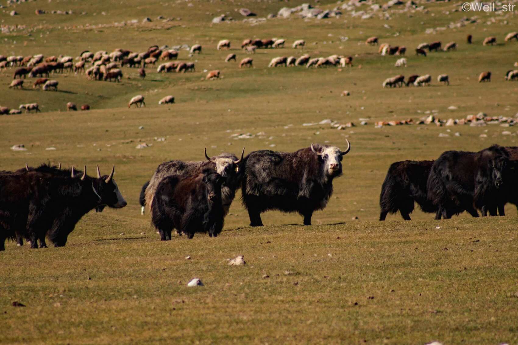 Тур в сердце Центральной Азии. Казахстан+ и Кыргызстан, 8 дней (13/38)