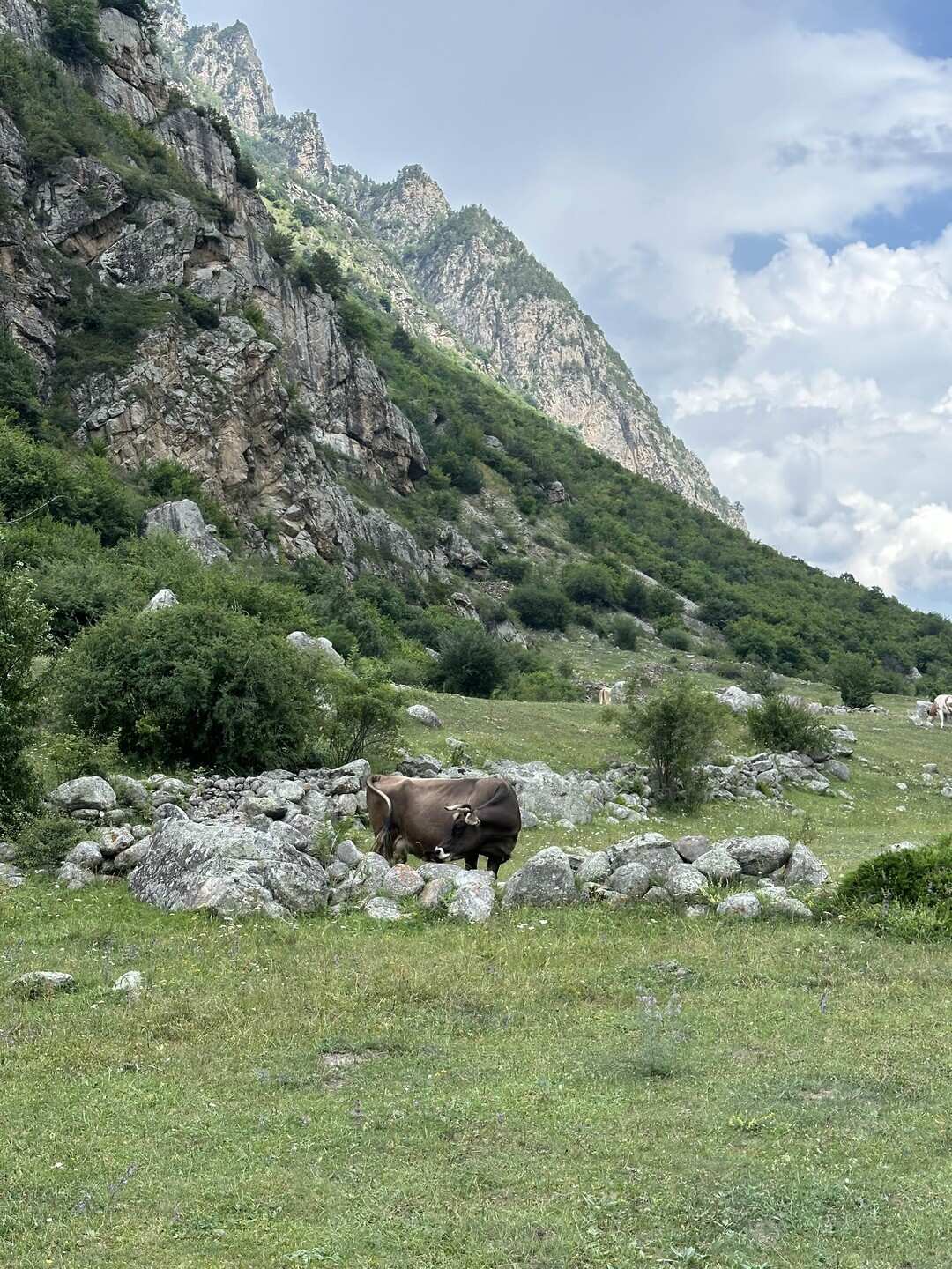 Кабардино-Балкария: Тайны Гор и Долин. Из Владикавказа (14/73)