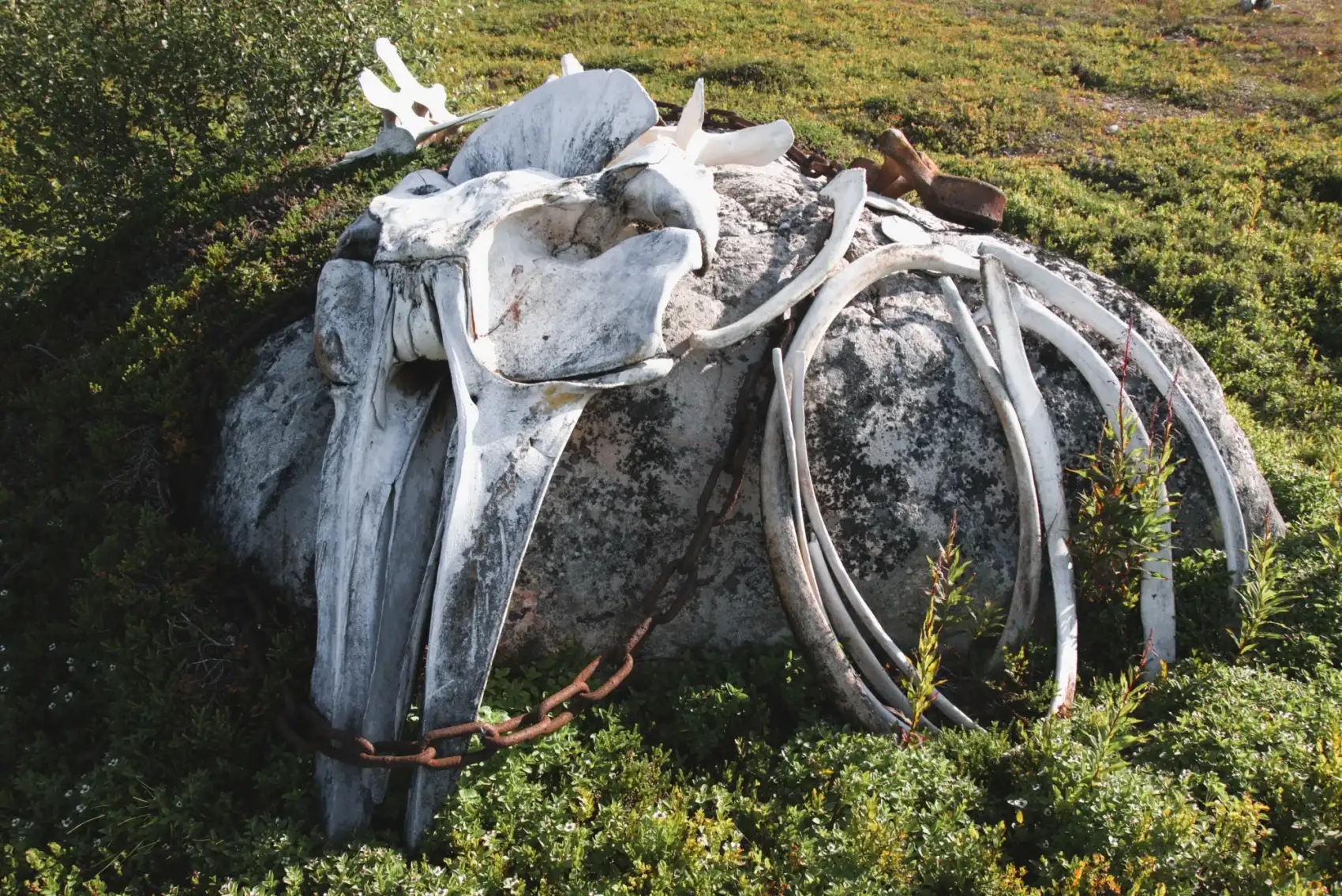 Полуостров Средний и Рыбачий. Поход вдоль Баренцева моря (6/29)