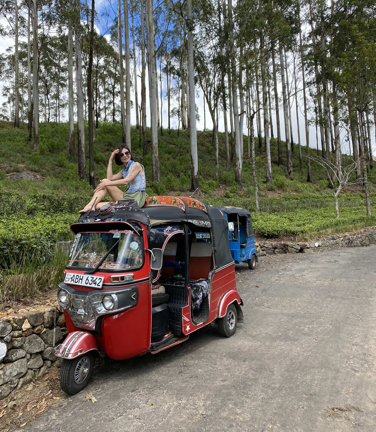 Шри-Ланка. 14 насыщенных дней твоей жизни! Восточные пляжи, горы, чай, киты и слоны (8/67)