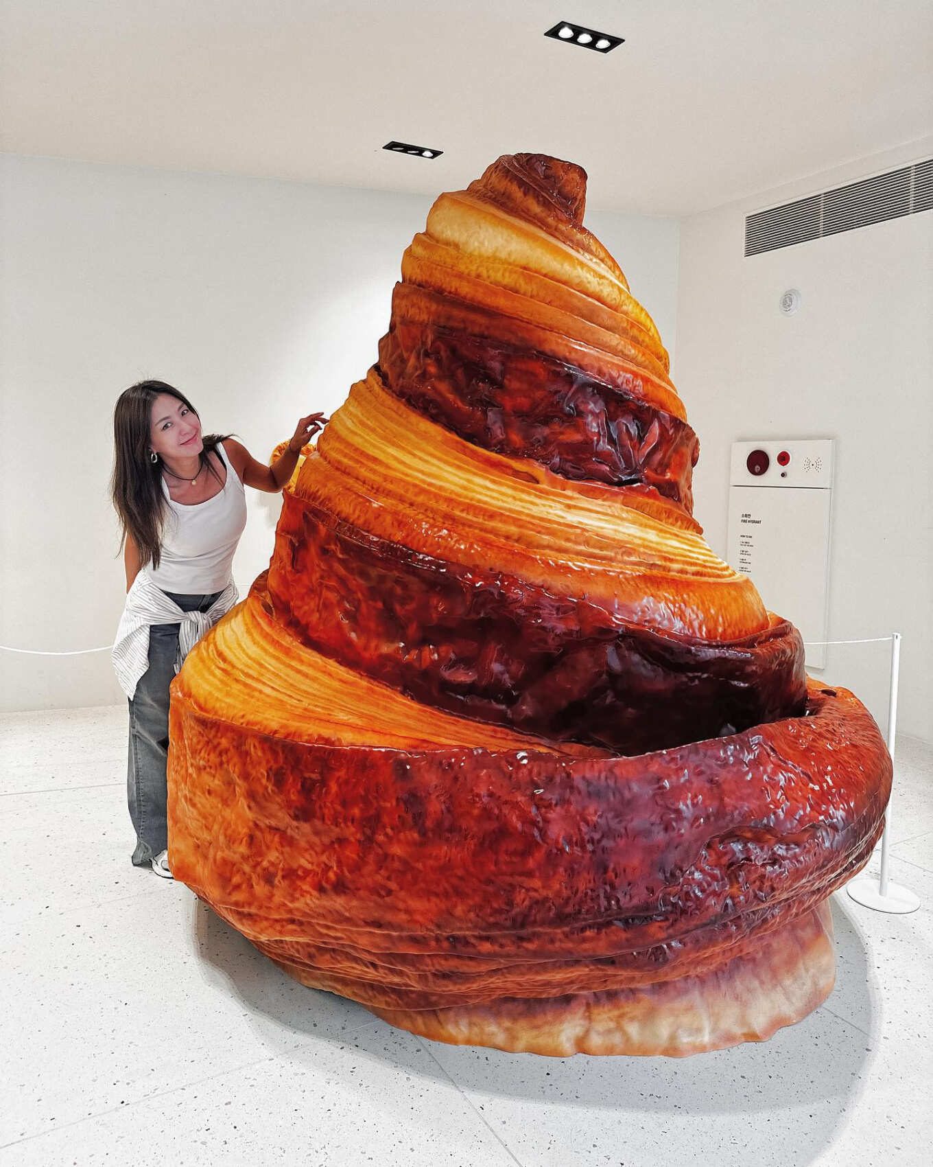 Южная Корея и остров Чеджу. (10/101)