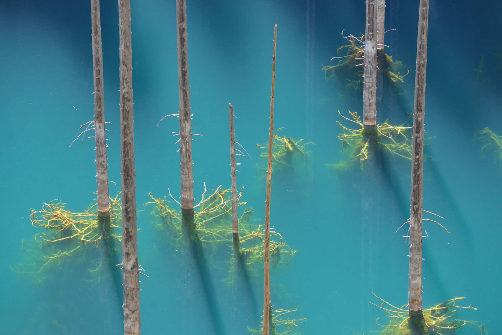 Фототур на Северный Тянь-Шань. Семиречье - жемчужина Казахстана. (94/126)