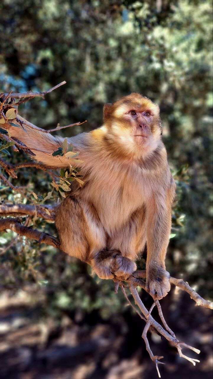 Марокко с душой. 2 ночи в Сахаре и калейдоскоп древних городов, высокий комфорт! (61/93)
