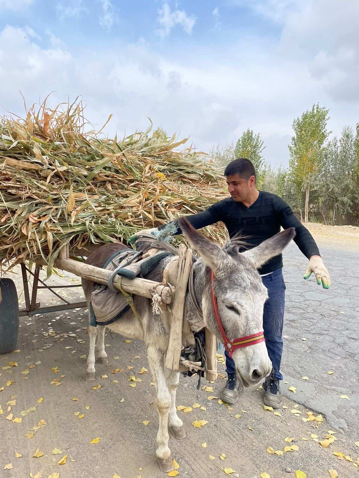 Узбекистан вдоль и поперек - этнографическая экспедиция (9 дней) (26/44)