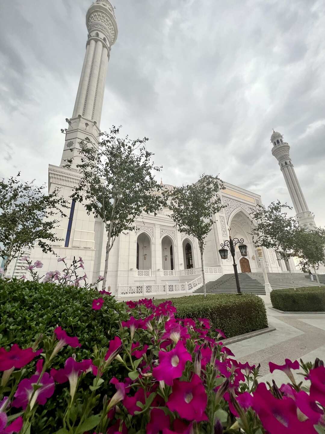 Чечня! История и Величие Кавказа. Из Владикавказа (48/51)