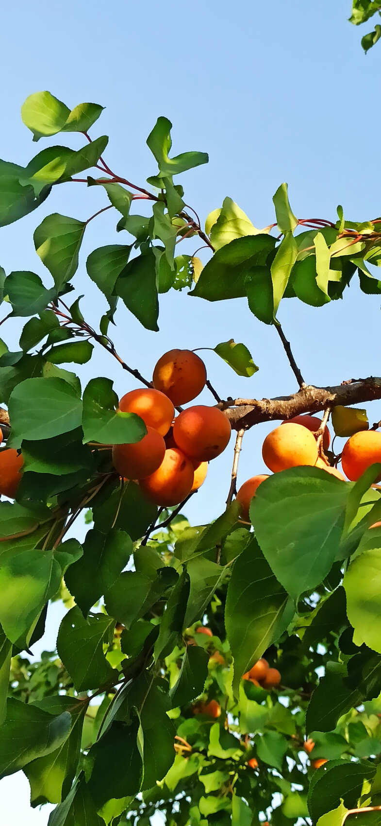 Башни Гоора и Карадахская теснина (9/9)