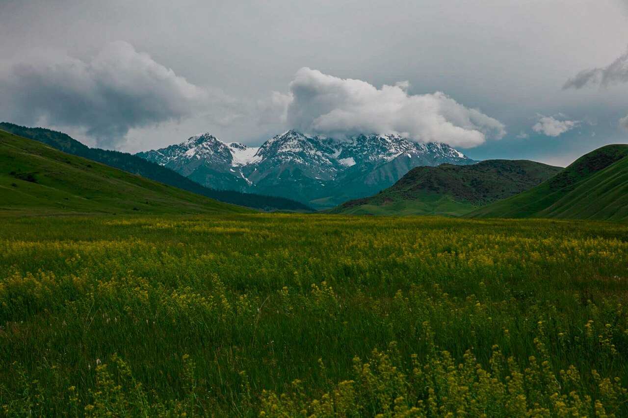 ВНЕ ПОПУЛЯРНЫХ МАРШРУТОВ (42/59)