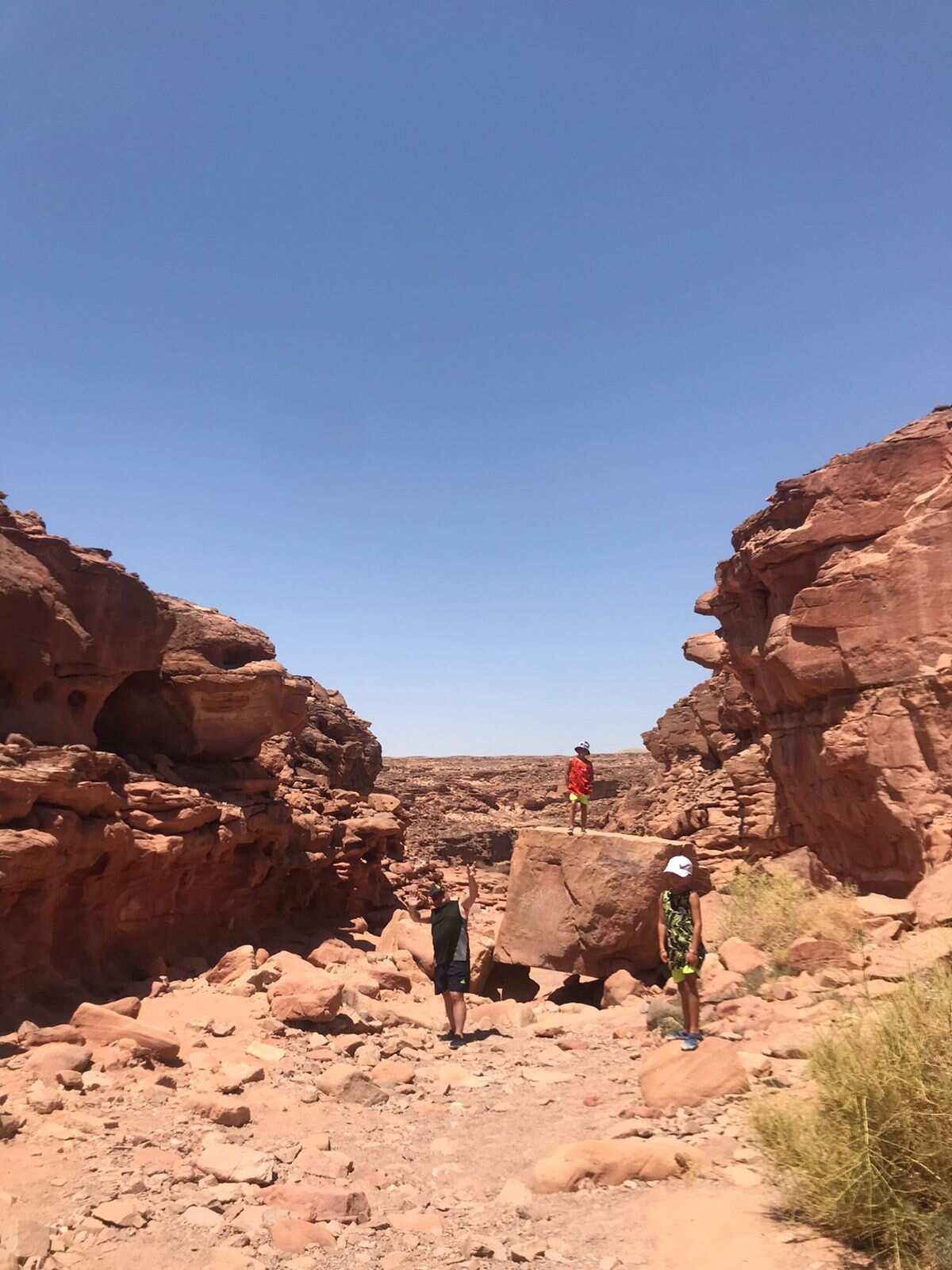 Оазис Эльфаюм - настоящий рай  (2/7)