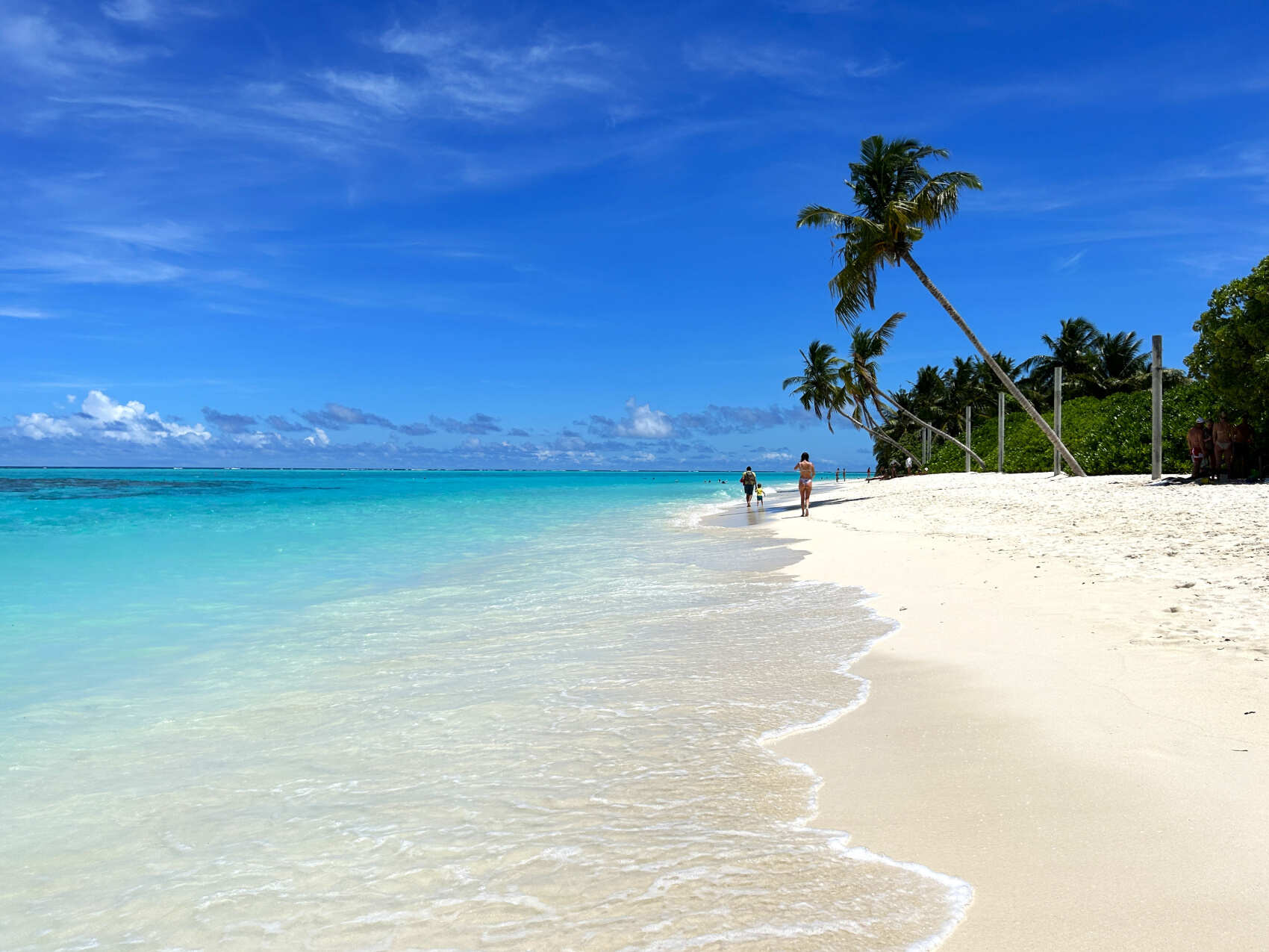 За мечтой на Мальдивы! - яркий тур на райские острова (11/48)