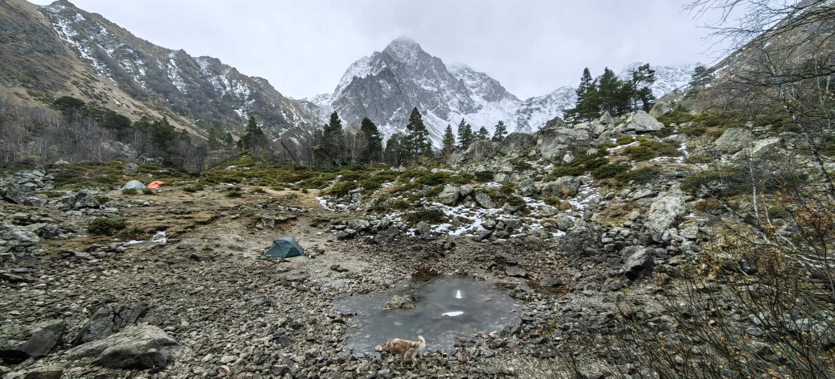 Архыз с комфортом в компании маламута! (31/54)