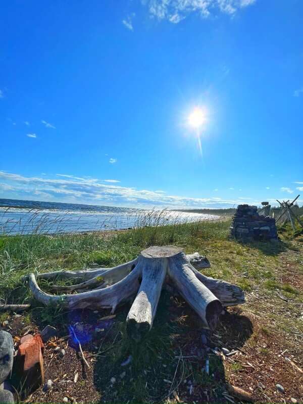 Путешествие по Терскому берегу Белого моря (13/29)