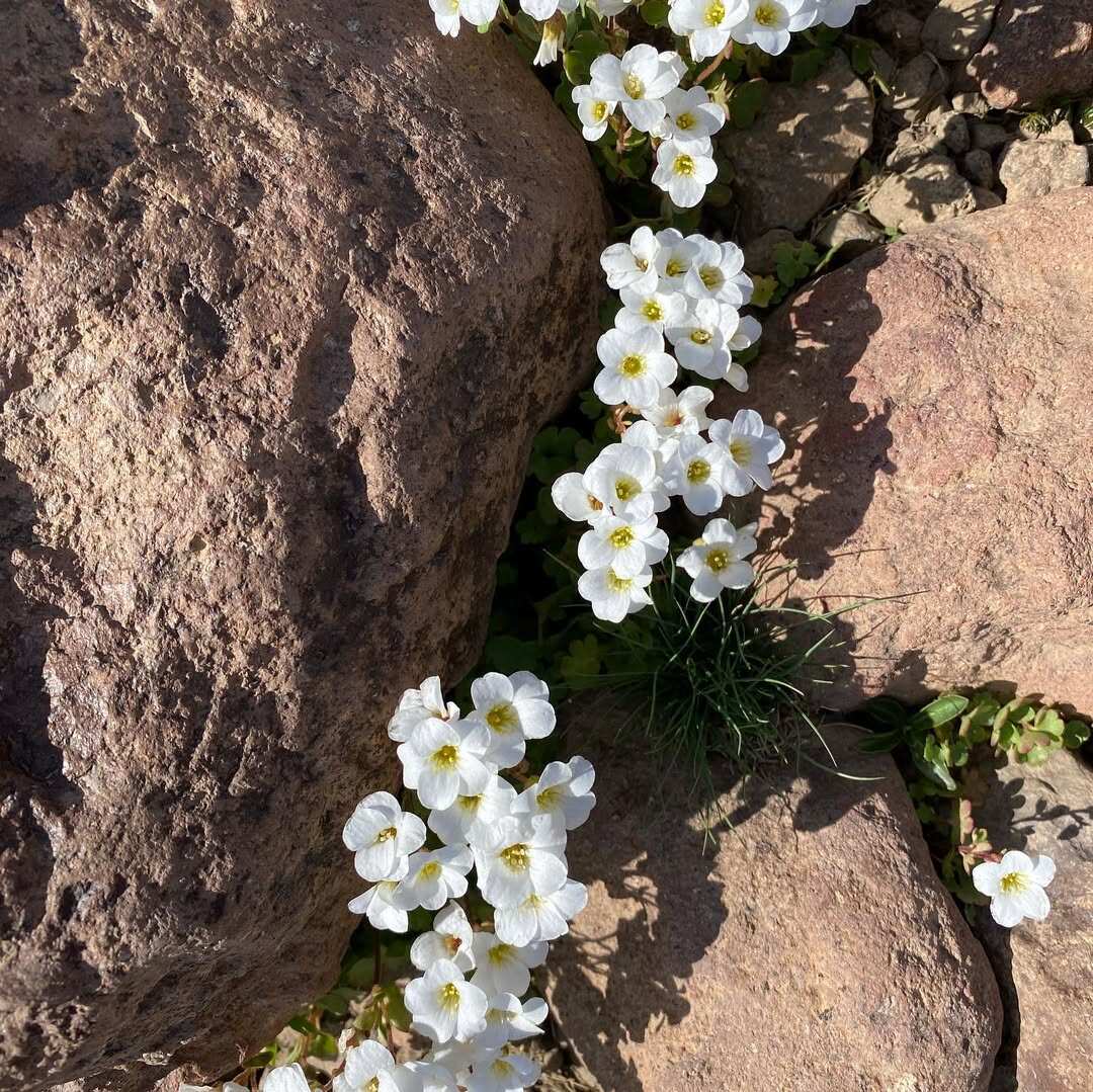 Восхождение (подъем) на южную вершину горы Арагац (6/11)
