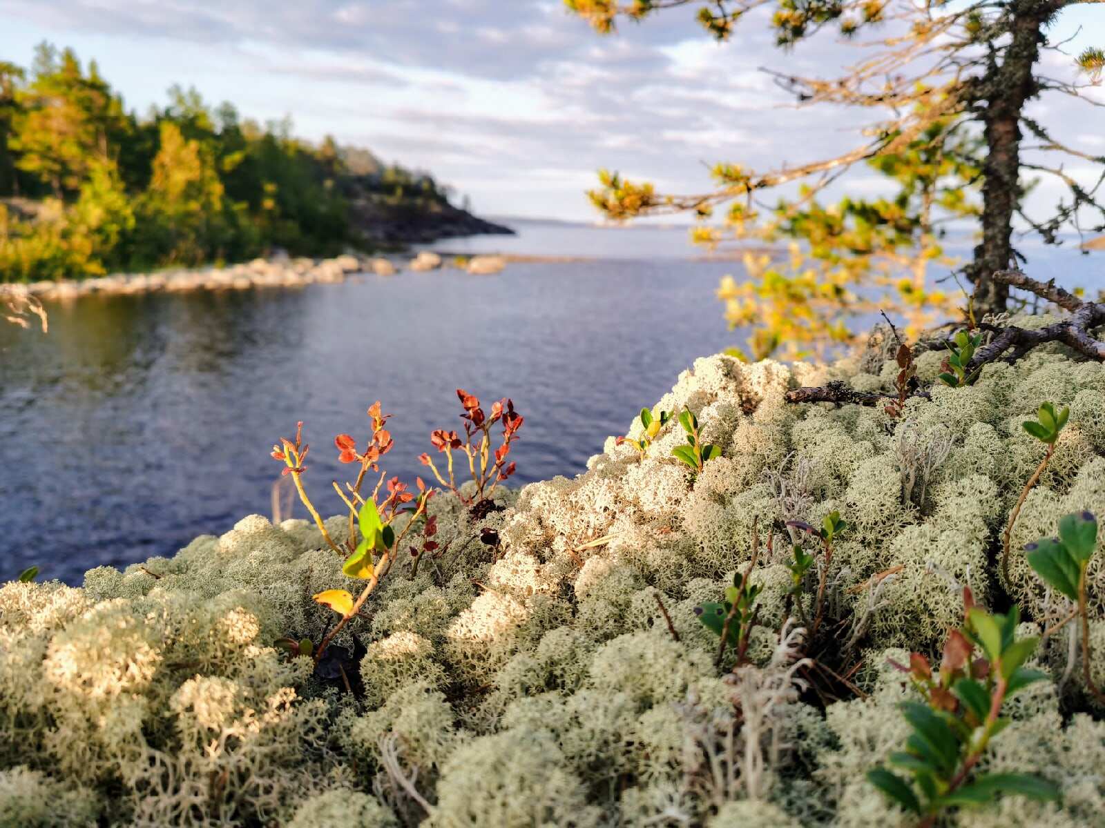 Сап-сёрфинг на Ладожских шхерах. Активные выходные с трансфером из Петербурга (5/15)