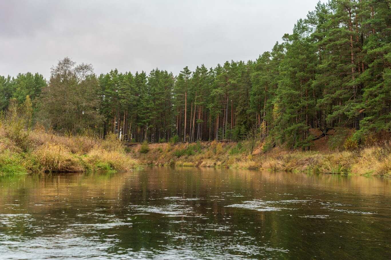 Сплав на байдарках по реке Осуга (2 дня) (4/9)