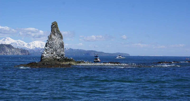 Камчатка с комфортом на «все включено» (23/146)