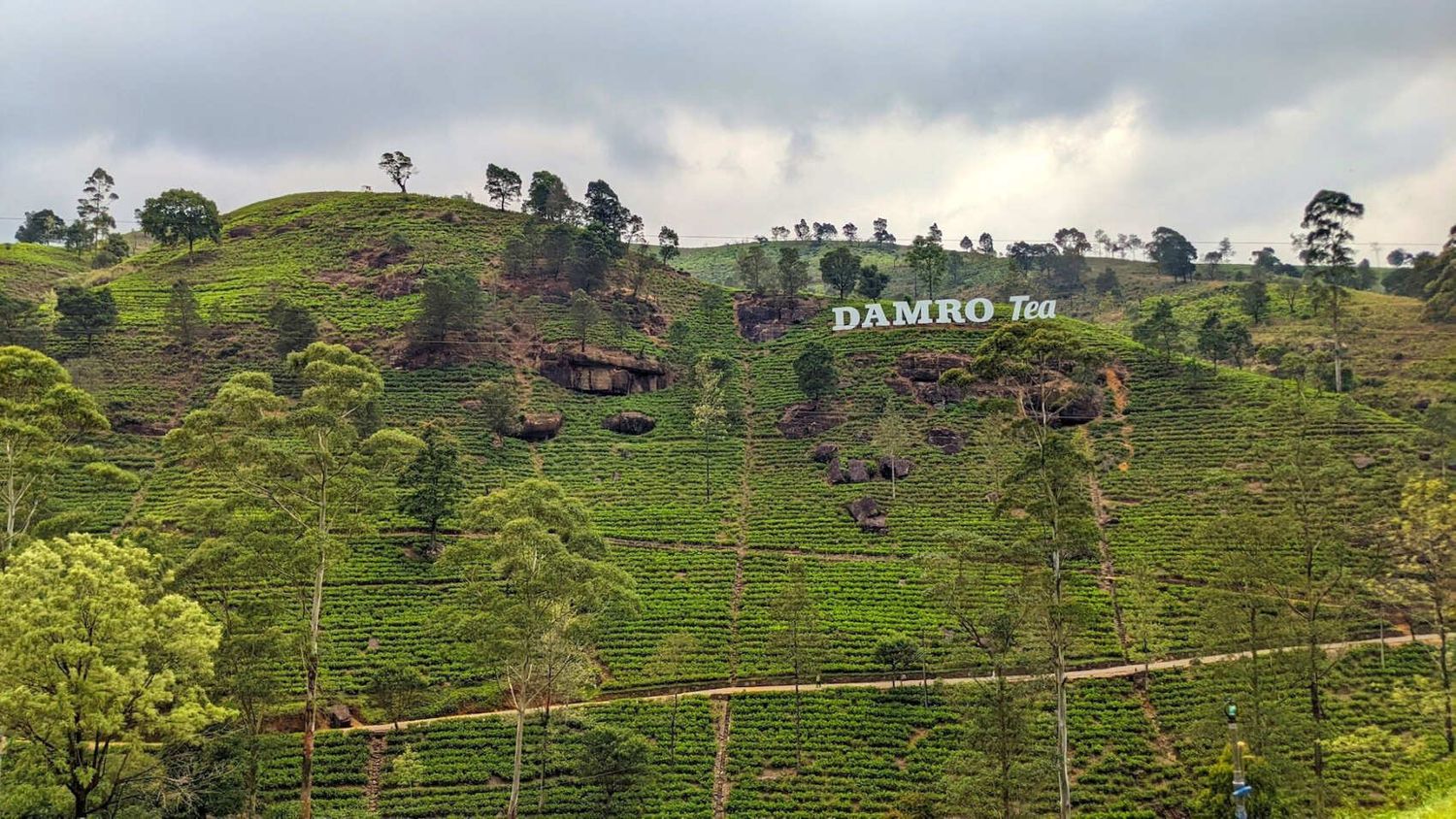 Шри-Ланка за 6 дней: От Коломбо до Сигирии (индивидуально) (6/35)