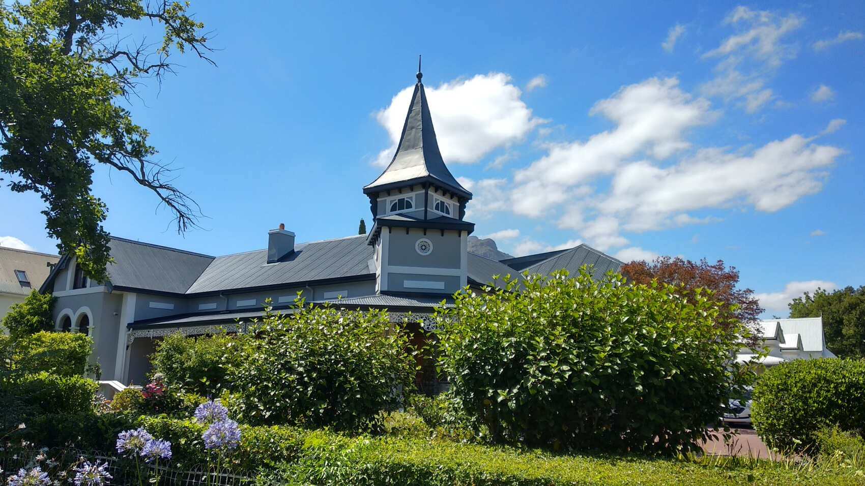 Юар: по дороге садов и сафари (14/16)