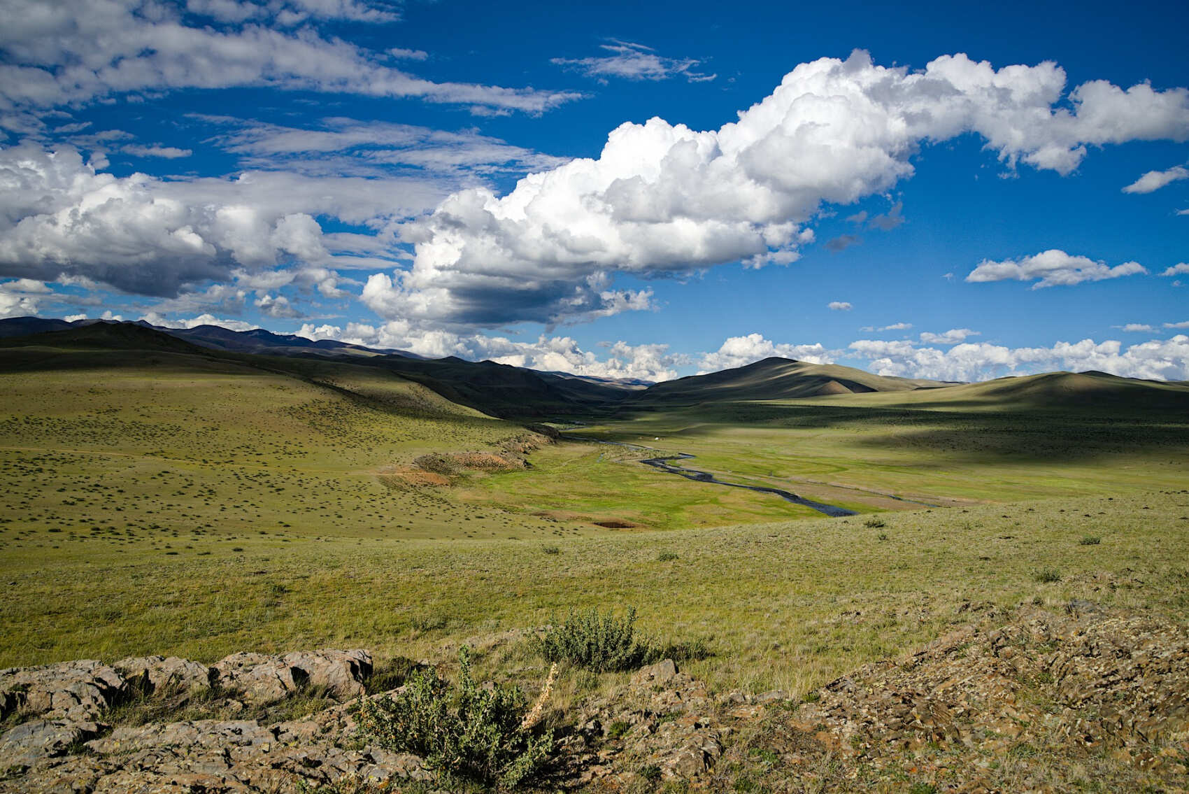 Алтайские дебри: тур с офф-роуд (4/25)