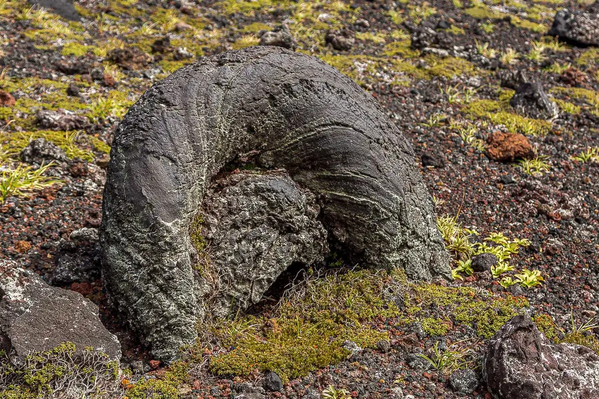 Три вулкана Курильских островов. Путешествие на другую планету (36/138)