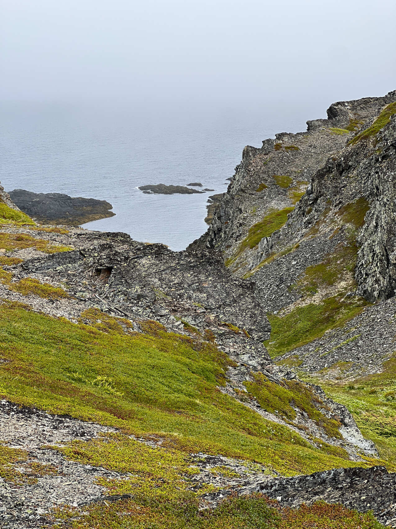 Рыбачий-Премиум 2.0: киты + джипинг + безлимит морепродуктов (по запросу, для готовых групп) (6/31)