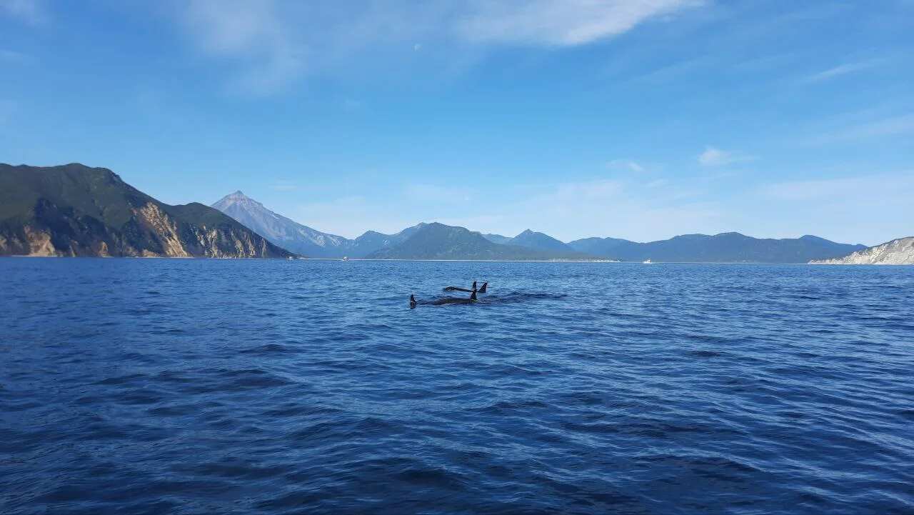 Камчатка: твое доступное путешествие мечты! Комфорт-тур, 7 дней (8/25)