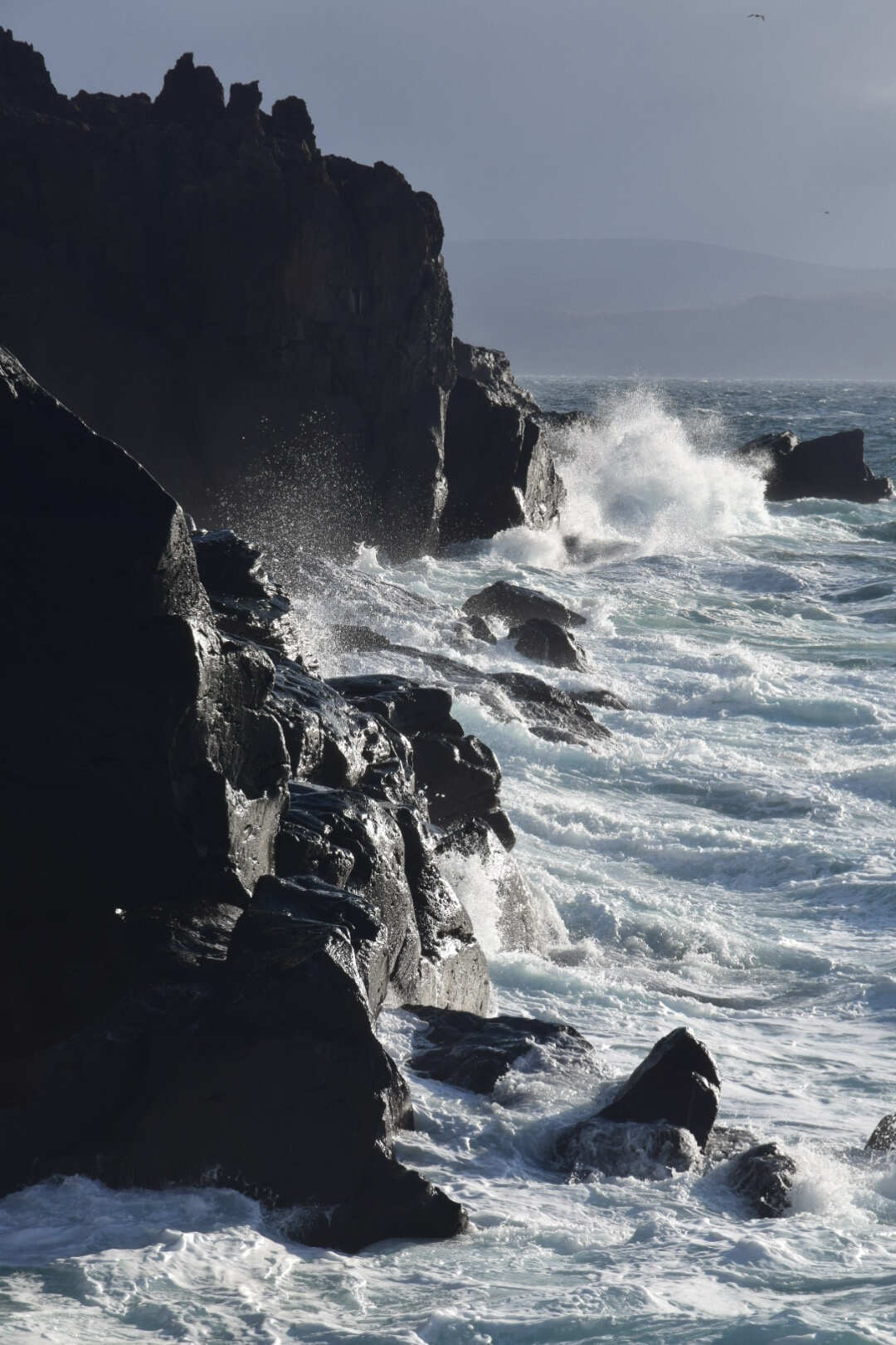 Пленительный Итуруп (4/35)