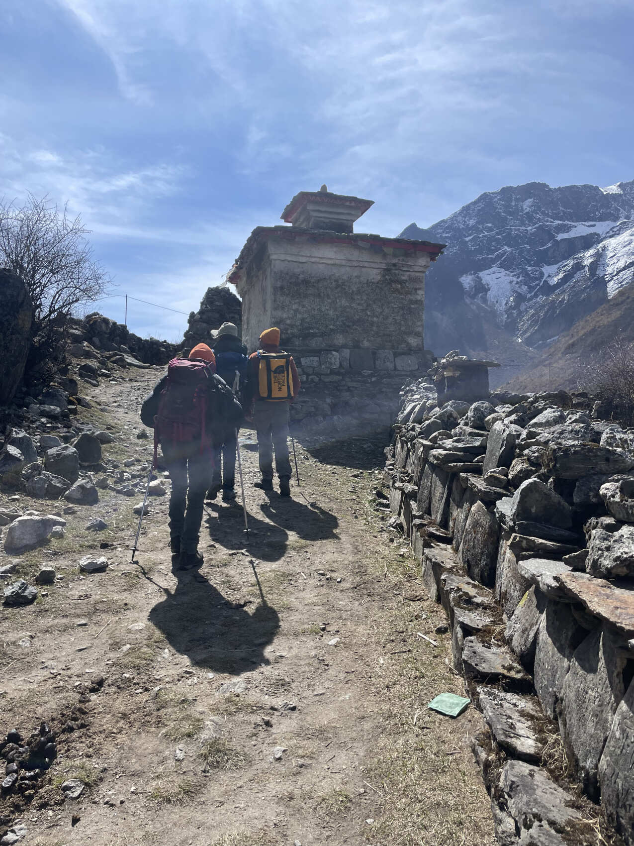 Langtang Valley Trek From Kathmandu (7/7)