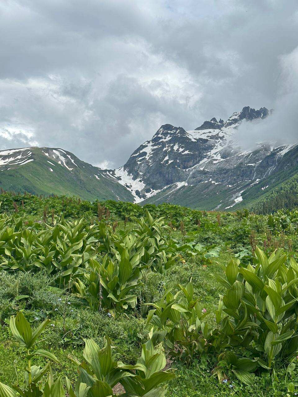 Архыз - величие гор и магия озер (22/36)