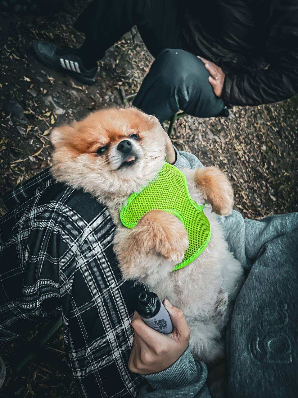 КРУГОСВЕТКА ПО КАНЬОНАМ (18/51)