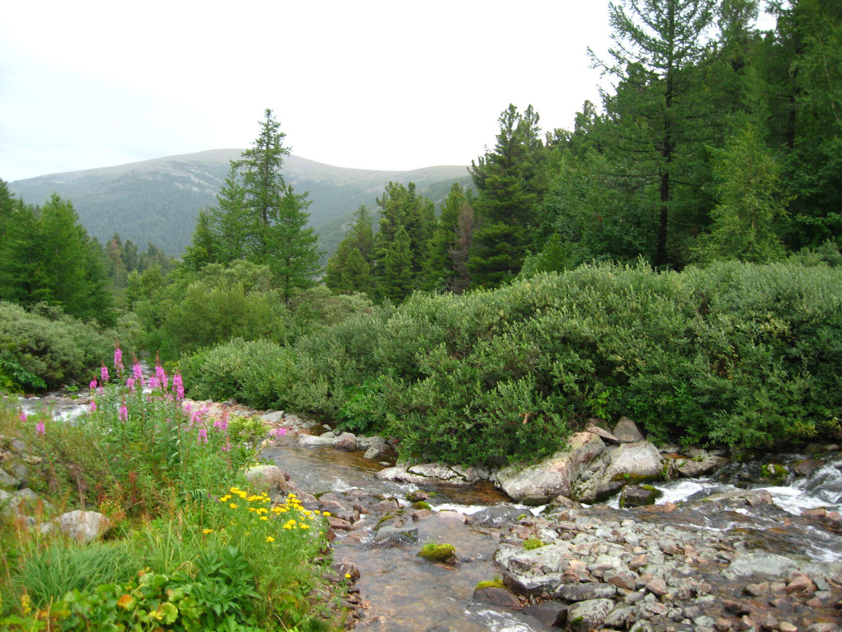 Поднебесье Саян (12/23)