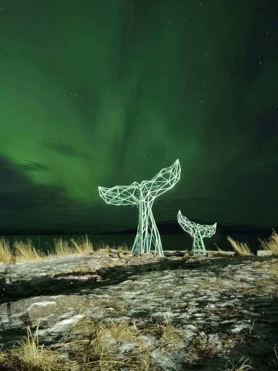 Охота на Северное Сияние (12/13)