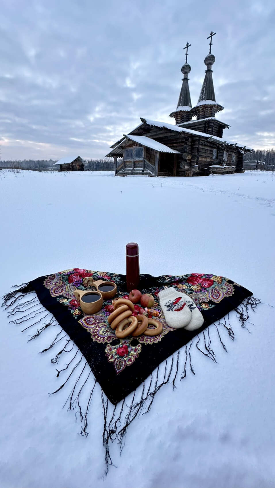 Поход на снегоступах Русский север в Подмосковье (5/11)