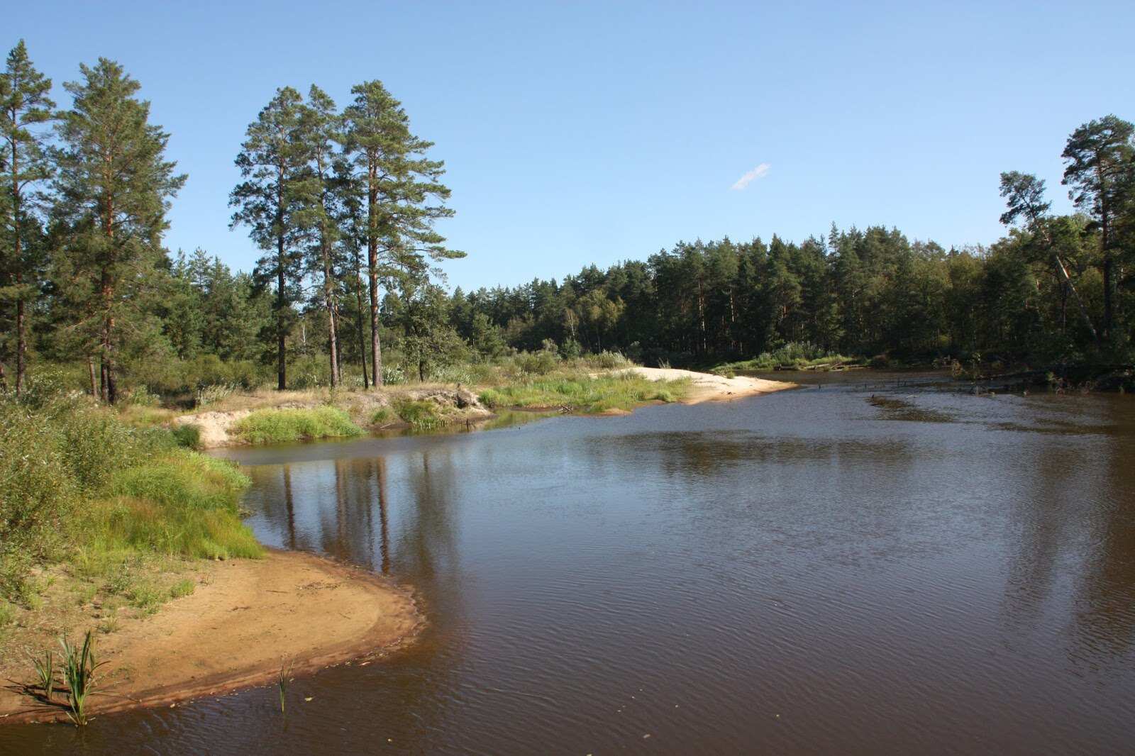 Сплав по реке Пра на байдарках (Рязанская область) (7/7)