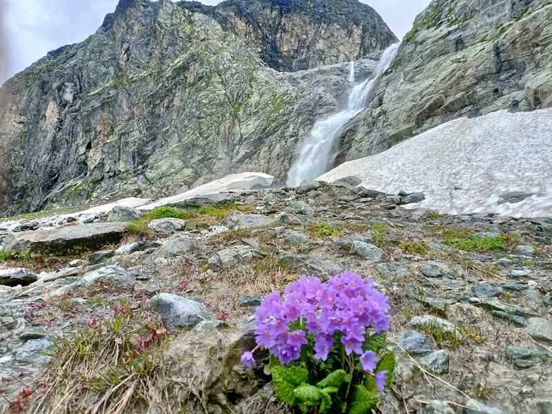 Архыз-Домбай экскурсионный (27/63)