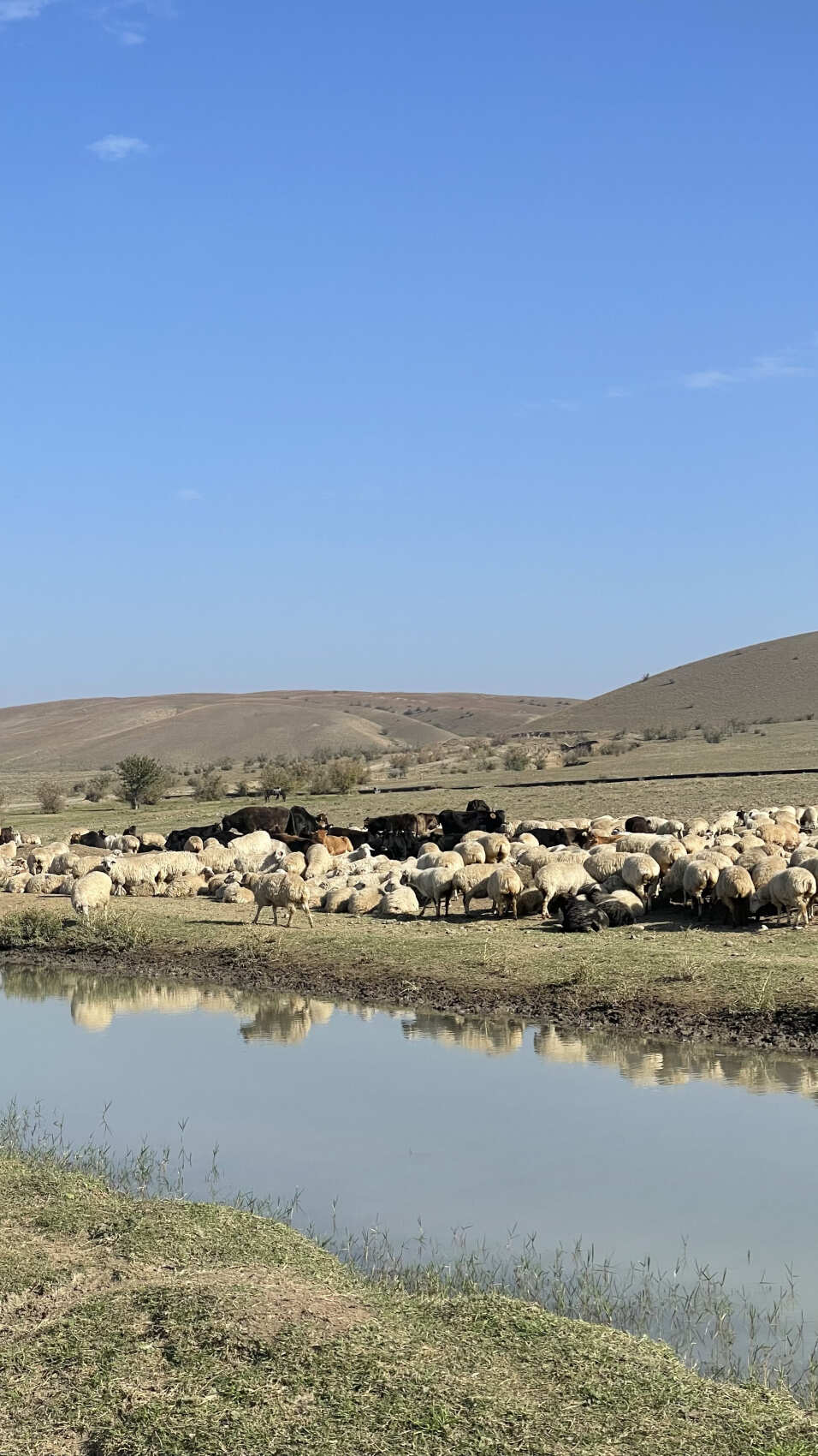 Джип-тур в неизведанную Грузию: пустыня Удабно, Радужные горы (9/12)