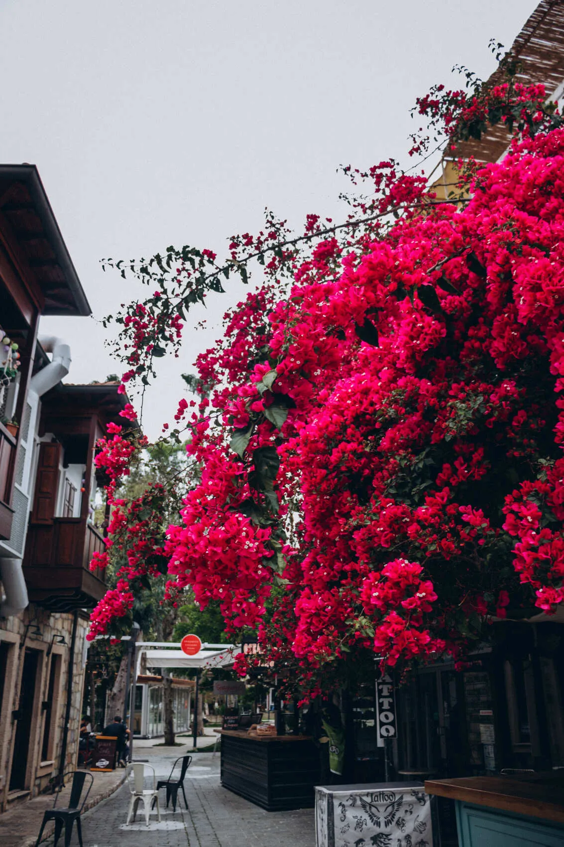 Турецкая Романтика: уютный Каш, деревня Чиралы, ликийская тропа, дюны Патары (19/57)