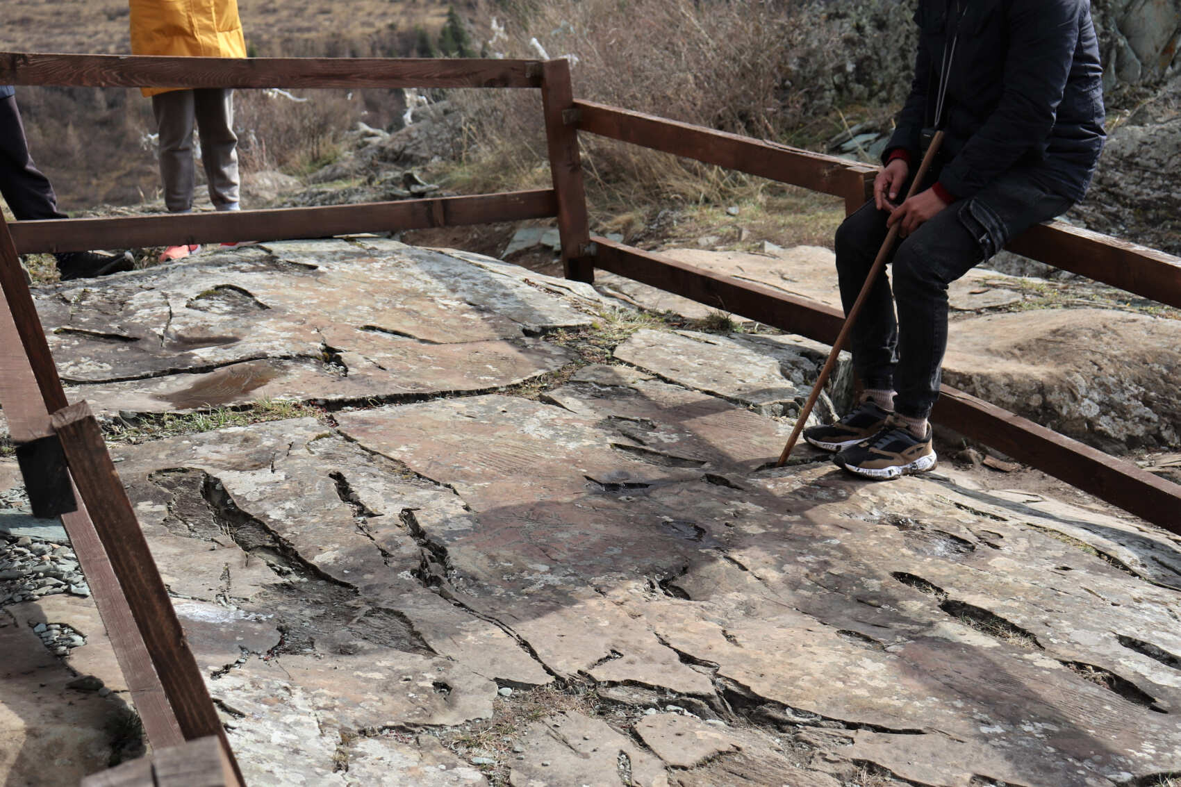  Майские-2026: Чемал, Телецкое, Чуйский тракт и Кату-Ярык (группа до 6 чел.) (25/46)