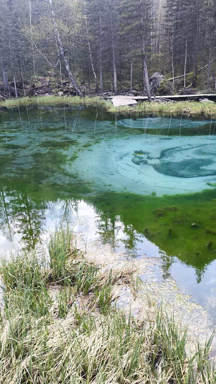 Легендарный Чуйский тракт (2/9)