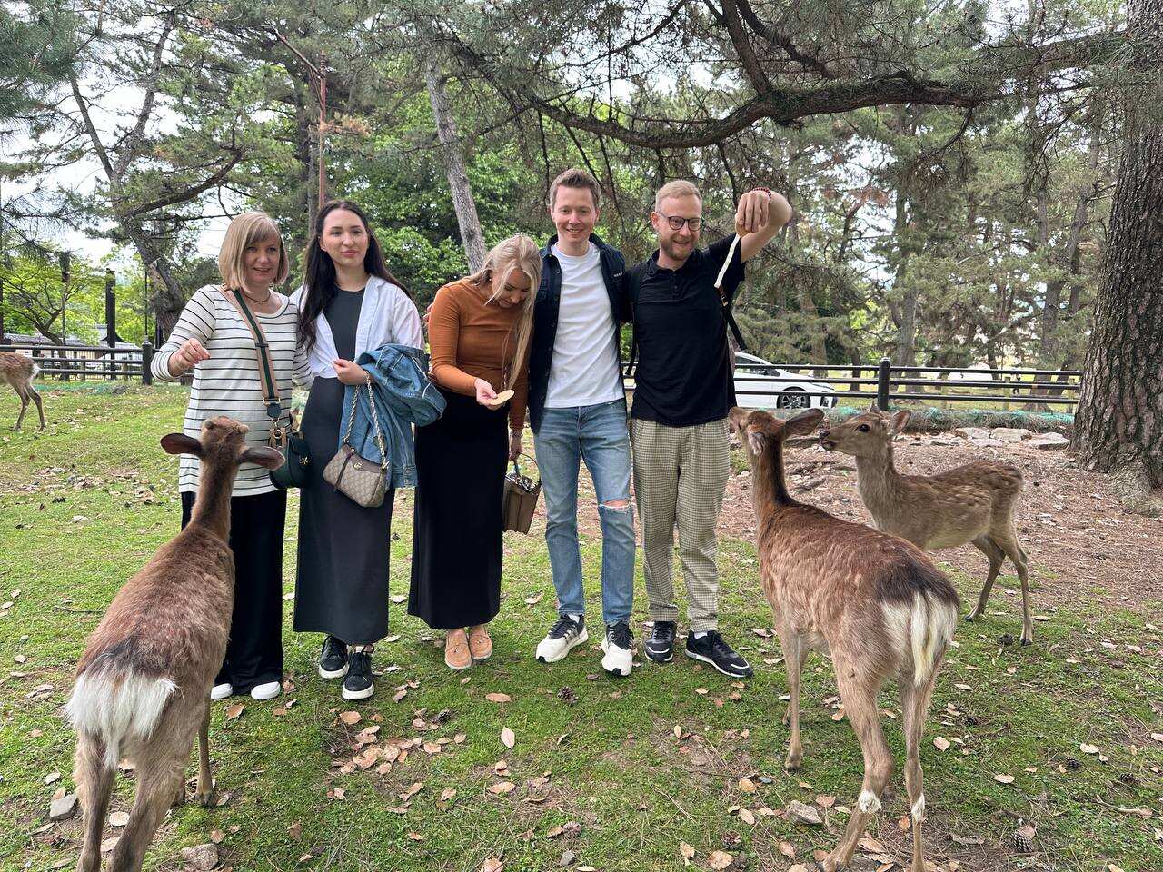 Япония  — путешествие по стране восходящего солнца (15/75)