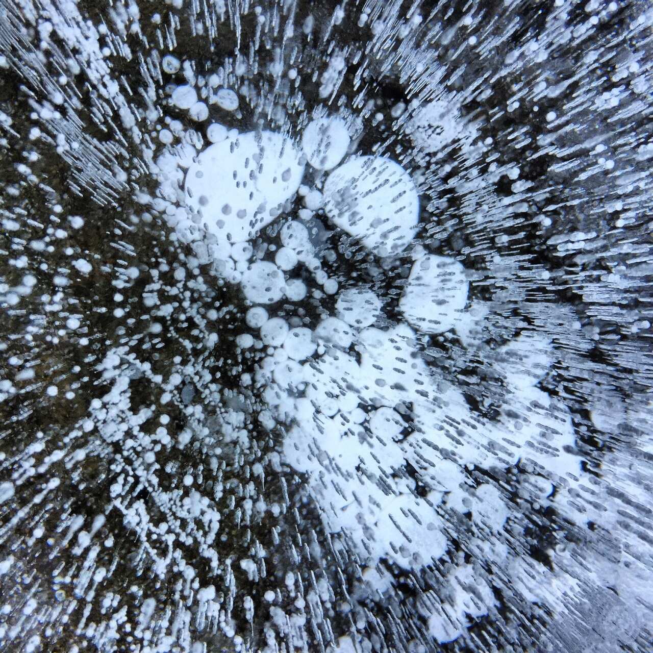 Авторский Байкал: Лед, Драйв, Отрыв!  Джипы, Хивус, Квадроциклы, Трэкол, буханка (65/83)