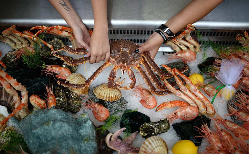 Камчатка с комфортом на «все включено» (8/146)