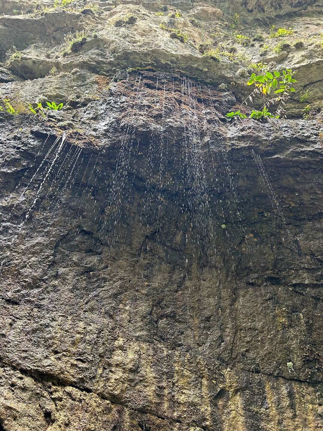 Кабардино-Балкария: Тайны Гор и Долин. Из Владикавказа (52/73)