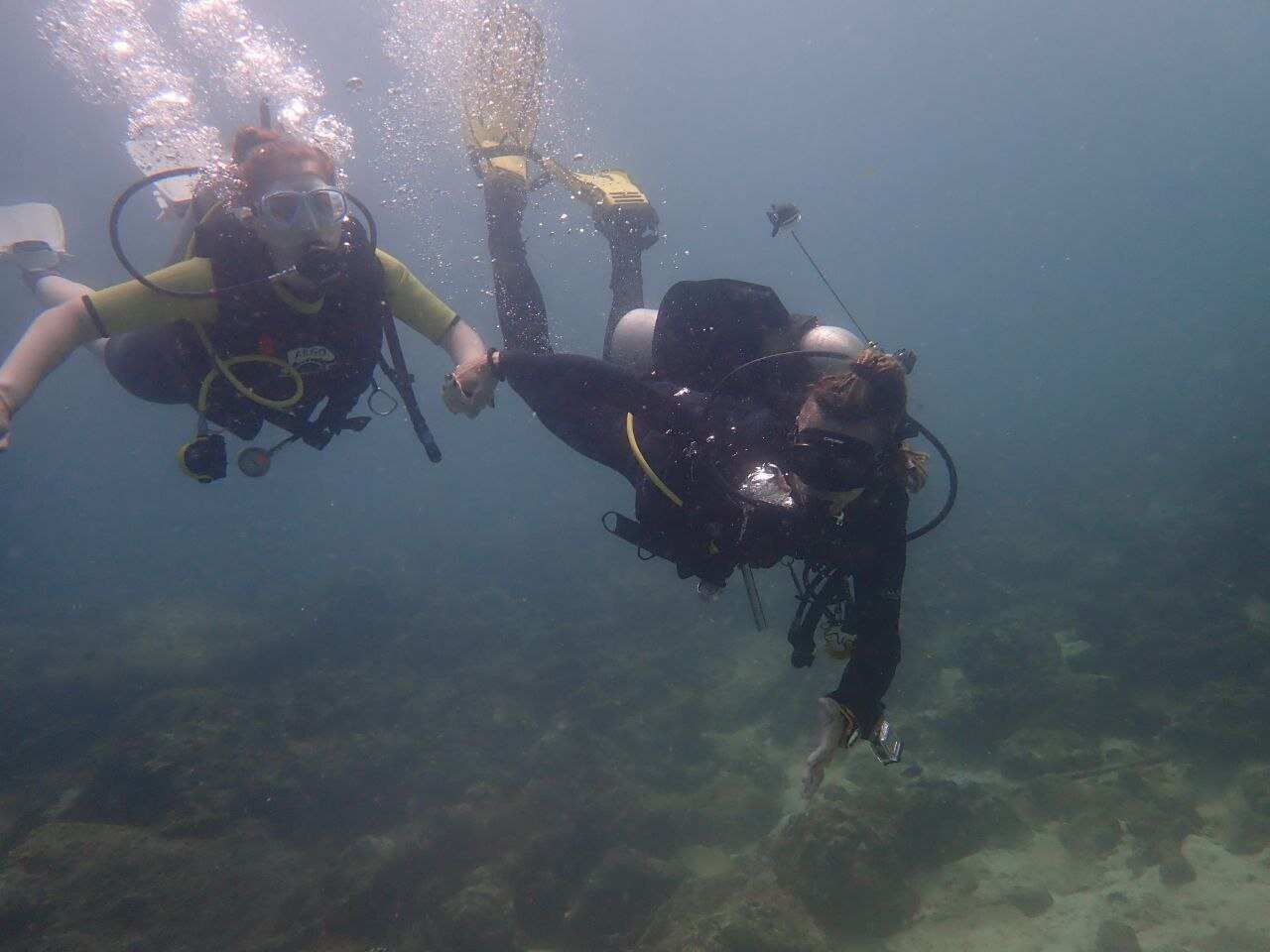 Дайвинг с индивидуальным инструктором. Для Новичков и профессионалов (41/50)