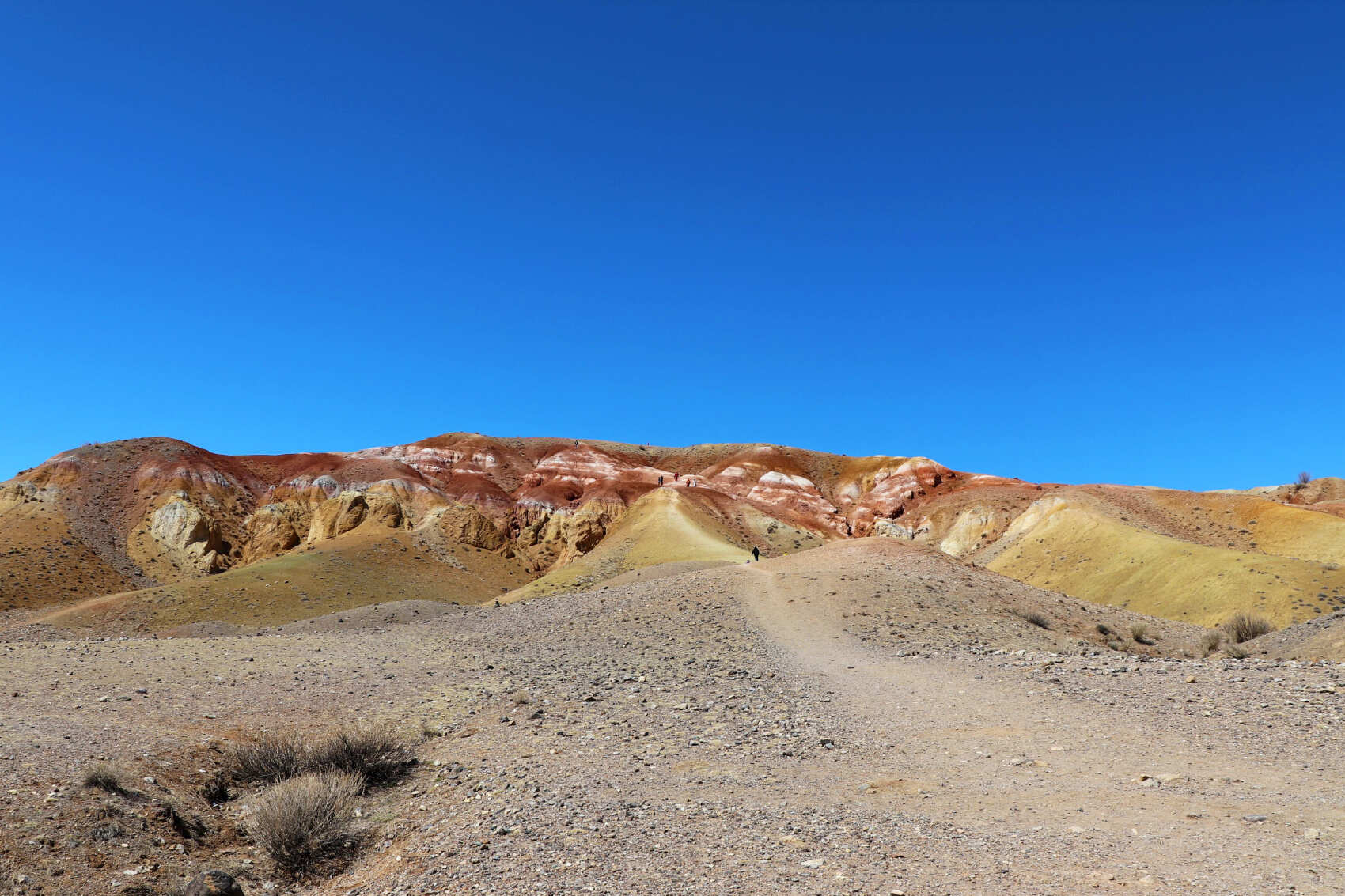  Майские-2026: Чемал, Телецкое, Чуйский тракт и Кату-Ярык (группа до 6 чел.) (13/46)