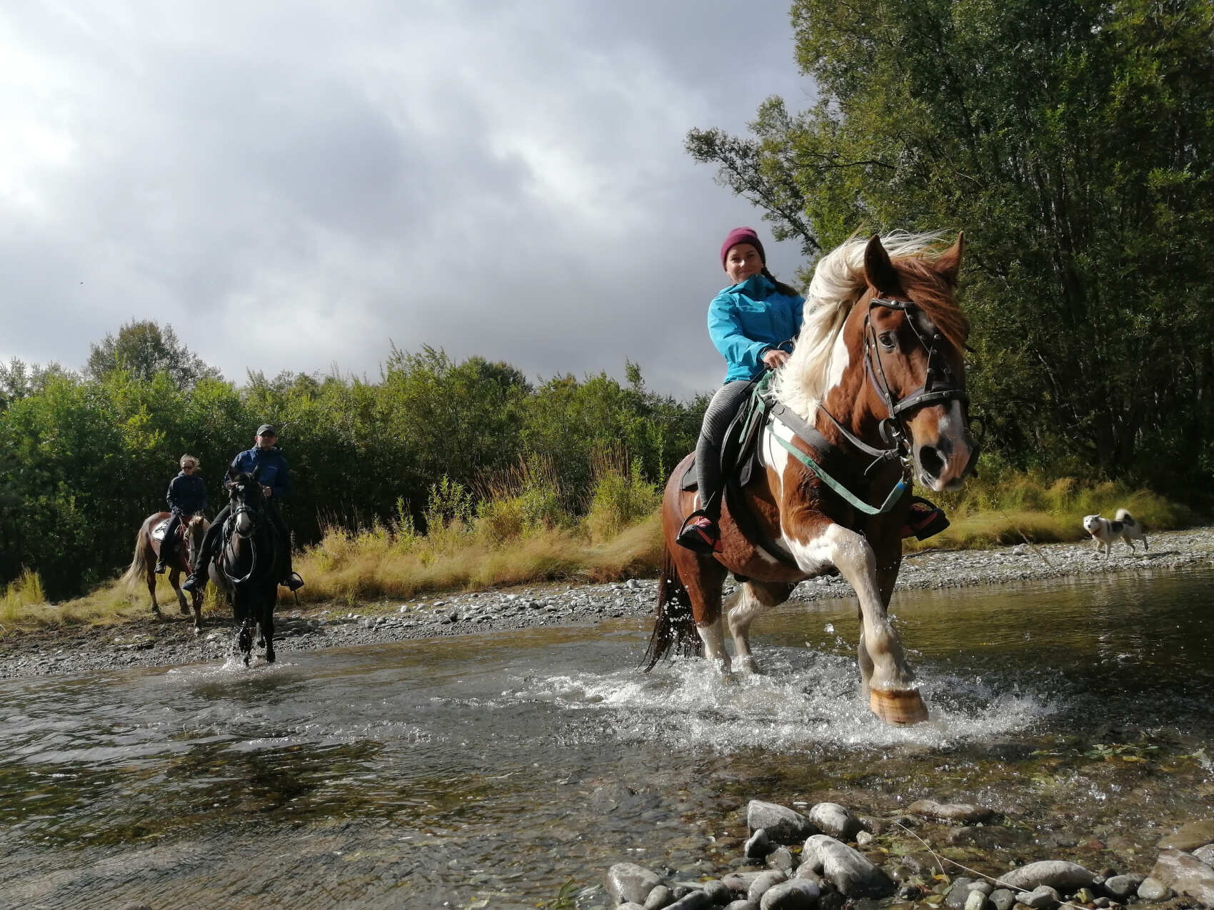 Конный тур к реке Авача (6/17)