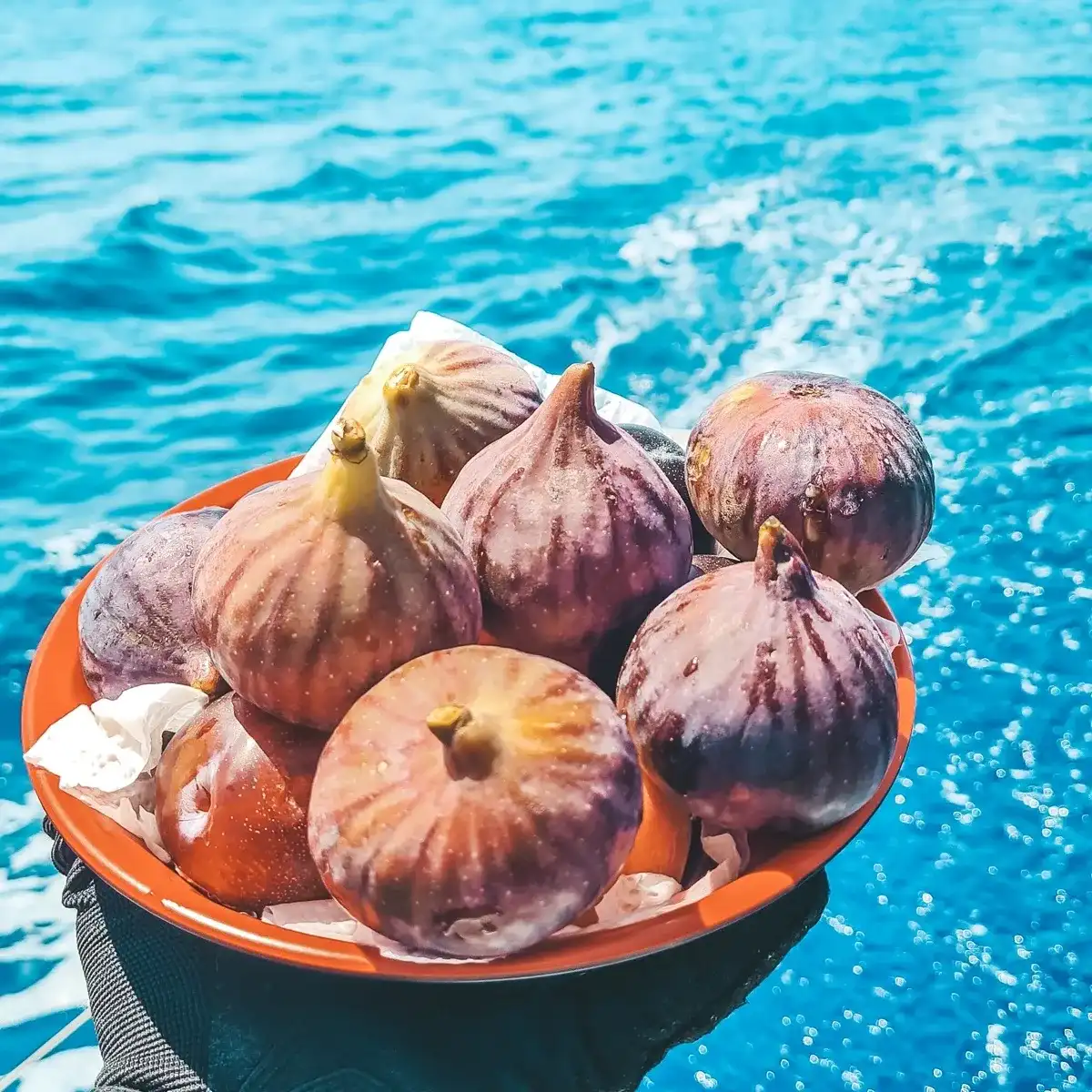 Турция на вкус: гастротур с традиционными блюдами (на Баварии из Финике) (2/62)