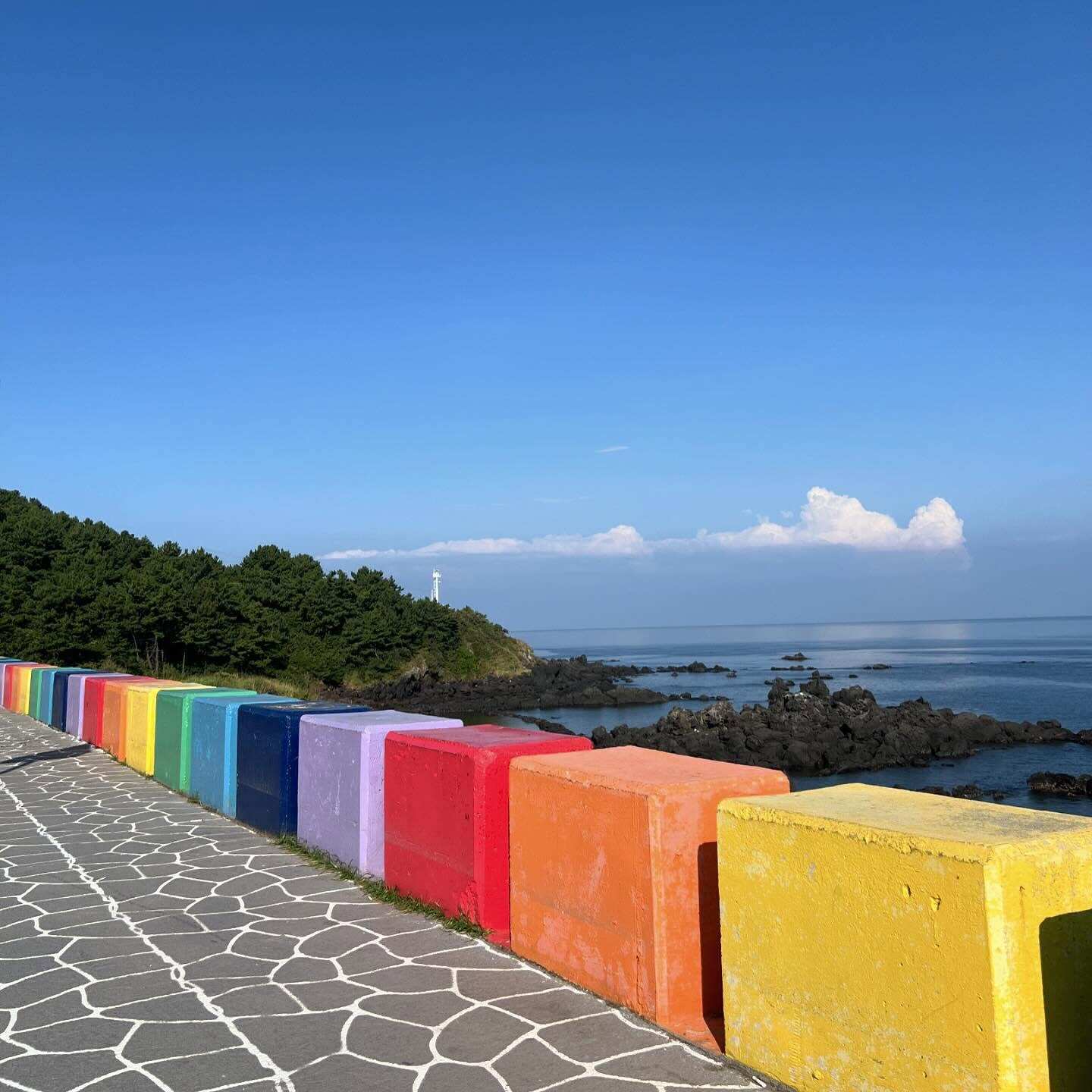 Южная Корея и остров Чеджу. (65/101)